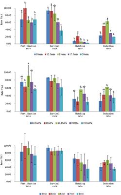 Artificial Induction and Genetic Structure Analysis of Tetraploid Turbot Scophthalmus maximus